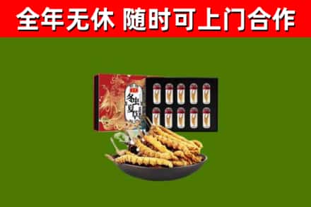 邗江回收冬虫夏草价格